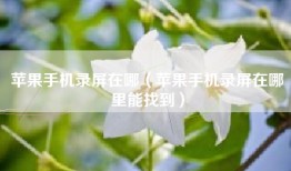 苹果手机录屏在哪（苹果手机录屏在哪里能找到）