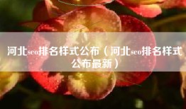 河北seo排名样式公布（河北seo排名样式公布最新）