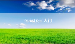 OpenAI Gym 入门