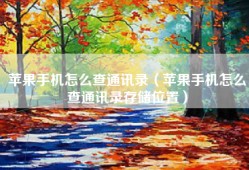 苹果手机怎么查通讯录（苹果手机怎么查通讯录存储位置）