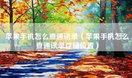 苹果手机怎么查通讯录（苹果手机怎么查通讯录存储位置）