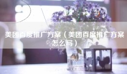 美团百度推广方案（美团百度推广方案怎么写）