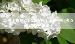 苹果手机热点自动断开（苹果手机热点自动断开设置）