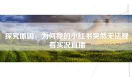 探究原因，为何我的小红书突然无法观看实况直播