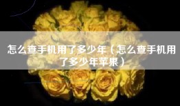 怎么查手机用了多少年（怎么查手机用了多少年苹果）