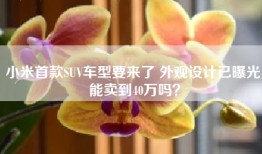小米首款SUV车型要来了 外观设计已曝光 能卖到40万吗？