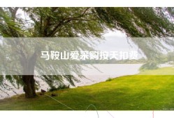 马鞍山爱采购按天扣费