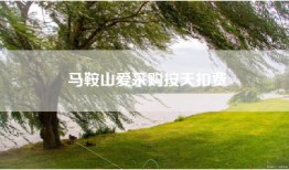 马鞍山爱采购按天扣费