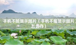 手机不能显示图片（手机不能显示图片怎么办）