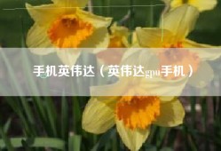 手机英伟达（英伟达gpu手机）