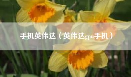 手机英伟达（英伟达gpu手机）