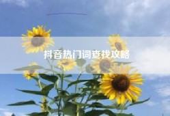 抖音热门词查找攻略