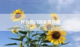 抖音热门词查找攻略