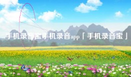 手机录音宝手机录音app「手机录音宝」