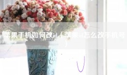 苹果手机如何改id（苹果id怎么改手机号）