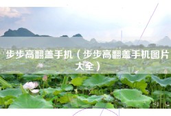 步步高翻盖手机（步步高翻盖手机图片大全）