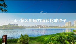python怎么将磁力链转化成种子