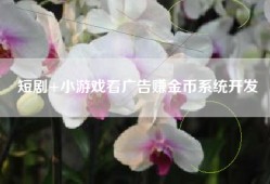 短剧+小游戏看广告赚金币系统开发