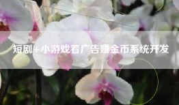短剧+小游戏看广告赚金币系统开发