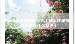 顺丰寄手机保价多少钱（顺丰快递寄手机保价是什么意思）