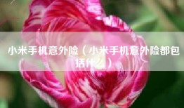小米手机意外险（小米手机意外险都包括什么）