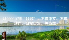 从GOOGLE到“谷歌”：不懂中文、不懂炒作、自娱自乐、想当然
