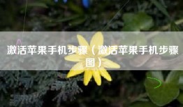 激活苹果手机步骤（激活苹果手机步骤图）
