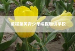 童程童美青少年编程培训学校