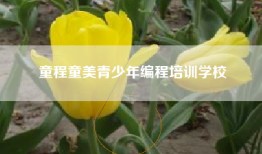 童程童美青少年编程培训学校