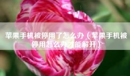 苹果手机被停用了怎么办（苹果手机被停用怎么办才能解开）
