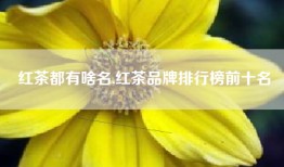 红茶都有啥名,红茶品牌排行榜前十名