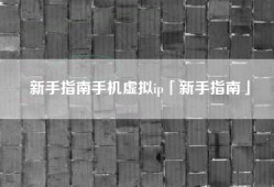 新手指南手机虚拟ip「新手指南」