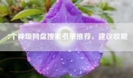 7个神级网盘搜索引擎推荐，建议收藏