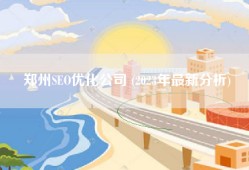 郑州SEO优化公司 (2023年最新分析)