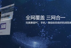 整站seo技术搜索引擎优化