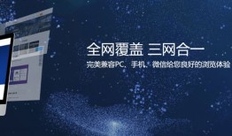 整站seo技术搜索引擎优化