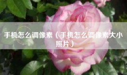 手机怎么调像素（手机怎么调像素大小 照片）