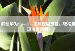 解锁华为Mate40Pro拍照模糊难题，轻松重现清晰画面！