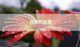 抖店代运营