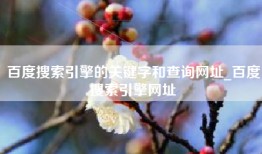 百度搜索引擎的关键字和查询网址_百度搜索引擎网址