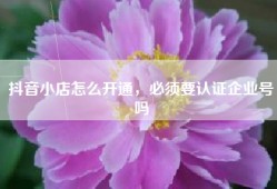 抖音小店怎么开通，必须要认证企业号吗