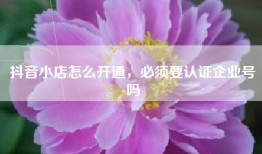 抖音小店怎么开通，必须要认证企业号吗