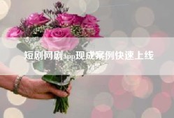 短剧网剧app现成案例快速上线