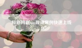 短剧网剧app现成案例快速上线