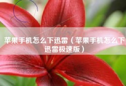 苹果手机怎么下迅雷（苹果手机怎么下迅雷极速版）