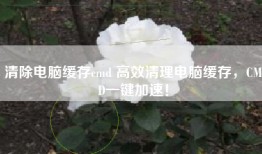 清除电脑缓存cmd 高效清理电脑缓存，CMD一键加速！