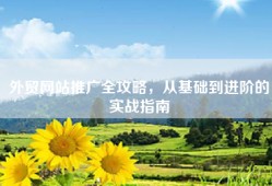 外贸网站推广全攻略，从基础到进阶的实战指南