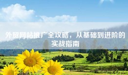 外贸网站推广全攻略，从基础到进阶的实战指南