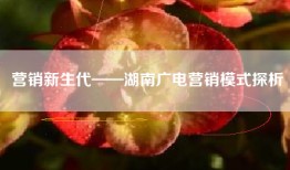 营销新生代——湖南广电营销模式探析