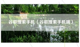 谷歌搜索手机（谷歌搜索手机端）
